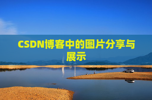 CSDN博客中的图片分享与展示